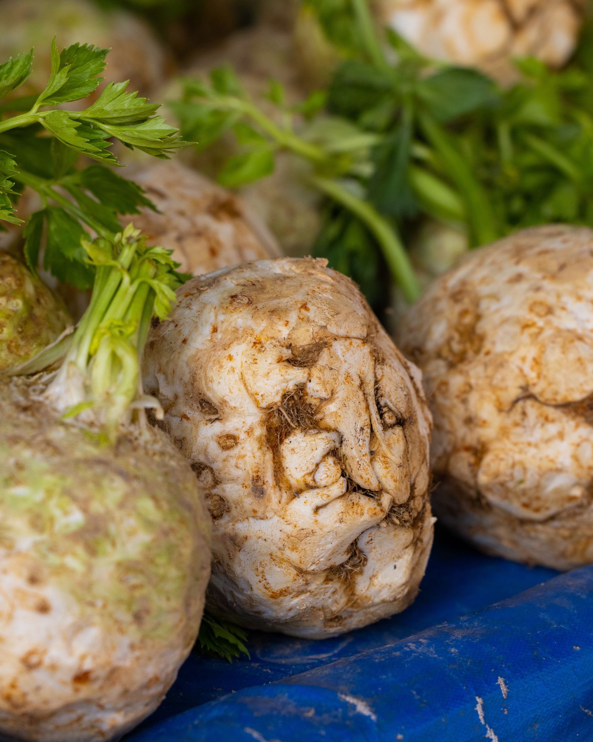 Le C&eacute;leri-Rave